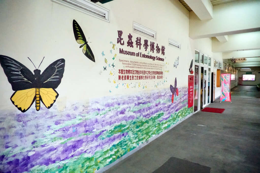 El Museo Científico de Insectos de la Escuela Secundaria de Chenggong en Taipéi