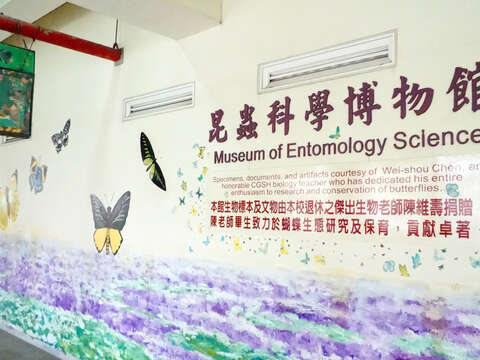 El Museo Científico de Insectos de la Escuela Secundaria de Chenggong en Taipéi