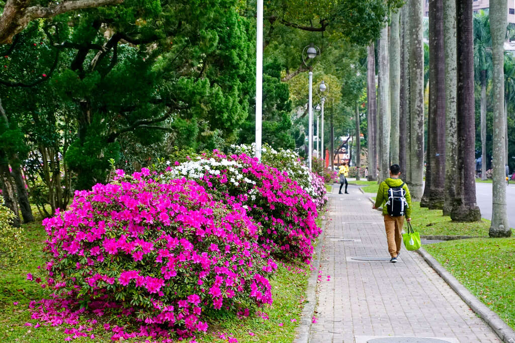 Universitas Negeri Taiwan