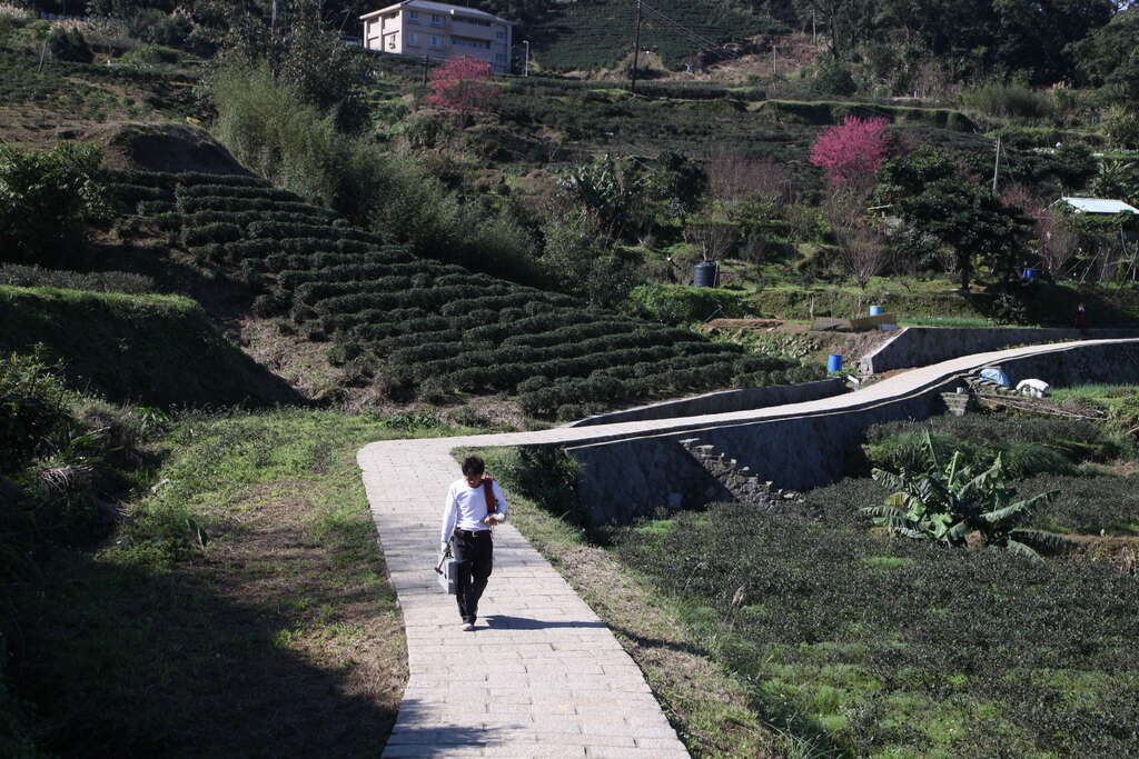 Maokong Zhangshu Trail