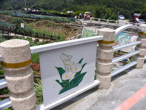 竹子湖海芋橋_劉佳雯攝