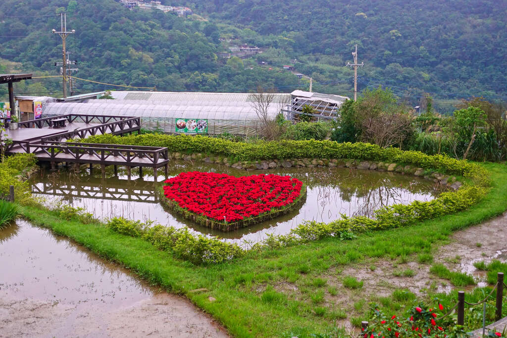 Baishihu Heart Pond