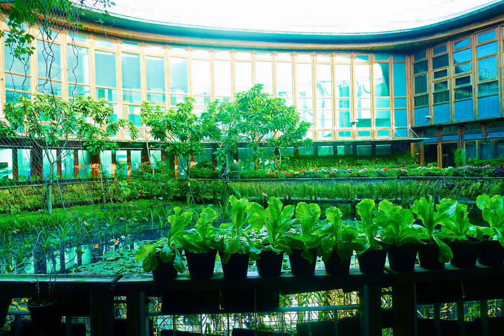 台北典蔵植物園