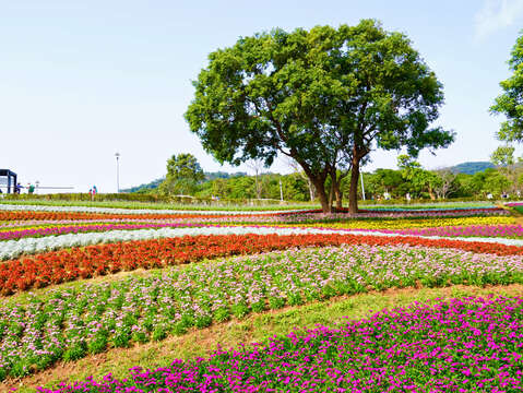 Ki-Pataw Shan-Tseng-Chi Park