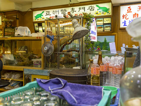 蛇肉店內能看到活生生的蛇(圖片來源：臺北市政府觀光傳播局)