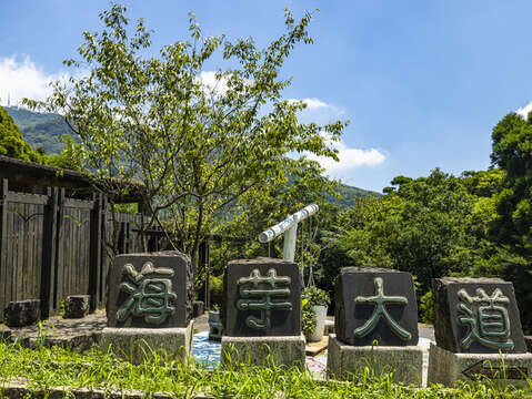 Zhuzihu