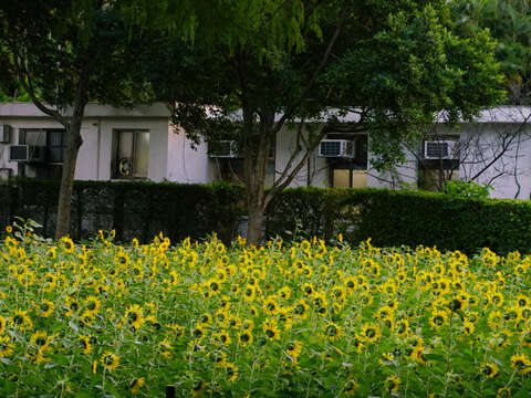 士林官邸_士林官邸公園