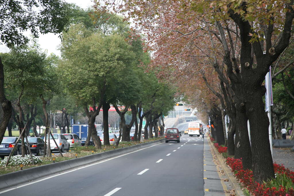 지성과 예술의 향연(知性饗宴之旅)