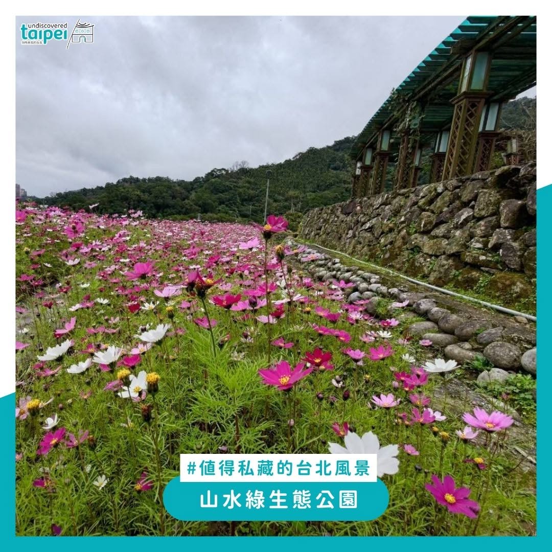 Instagram-(新しいウィンドウを開きます)