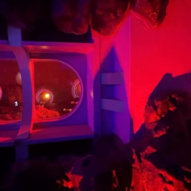 Instagram-(新しいウィンドウを開きます)