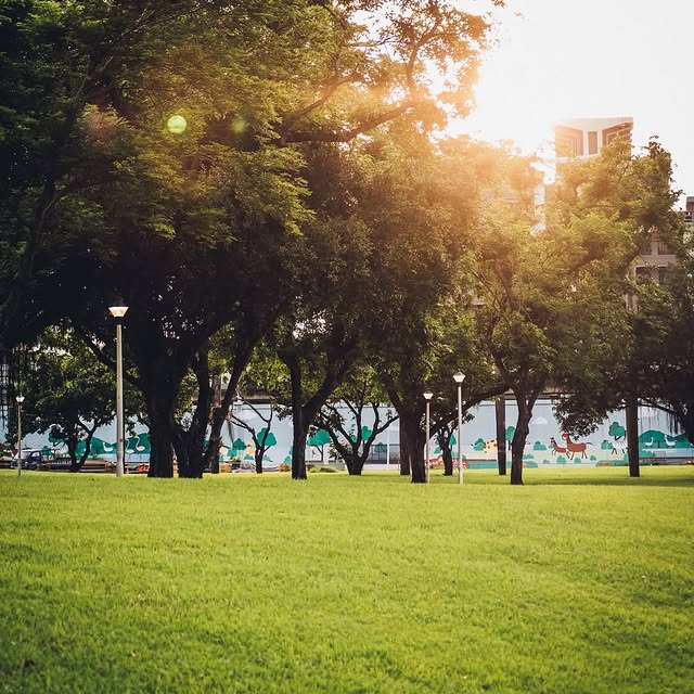 Instagram-(새 창으로 열기)