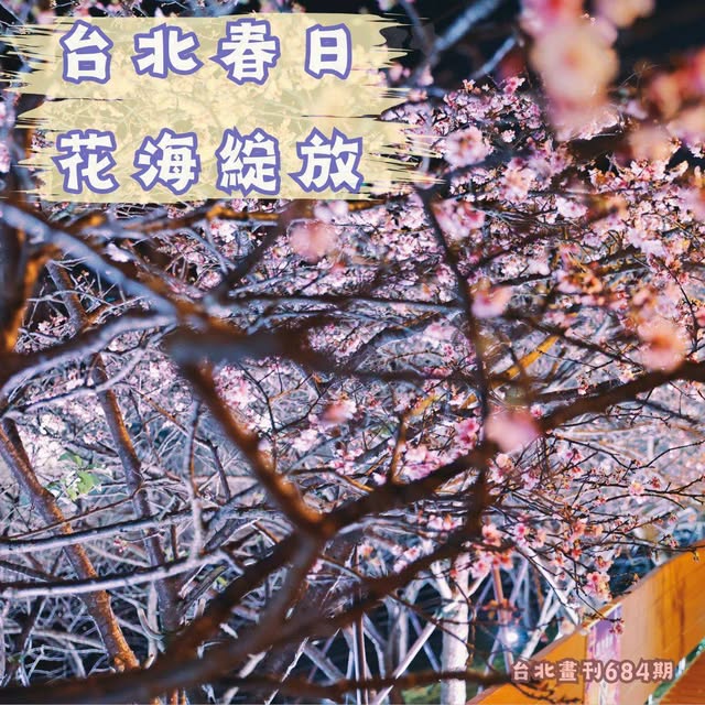 Instagram-(新しいウィンドウを開きます)