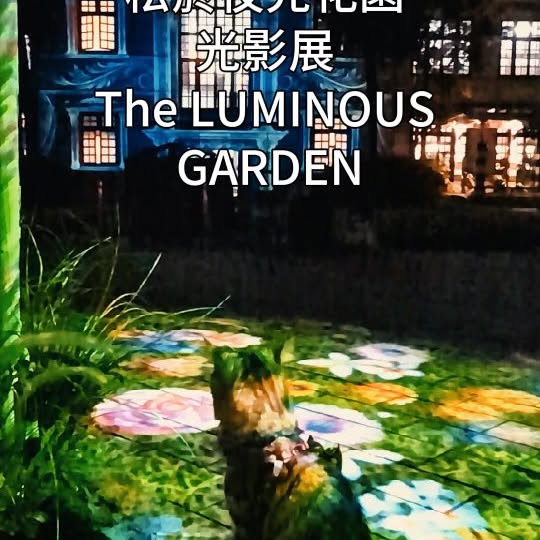 Instagram-(新しいウィンドウを開きます)