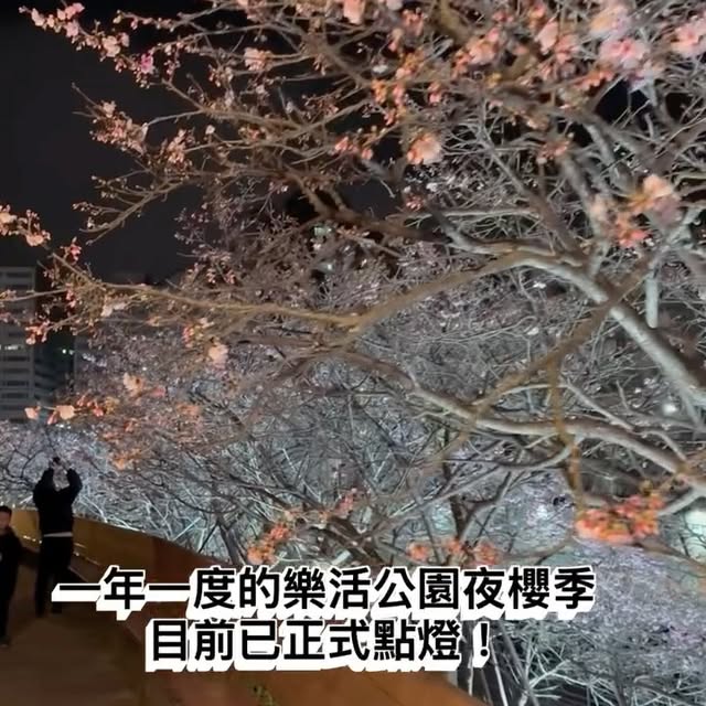 Instagram-(Open Window)