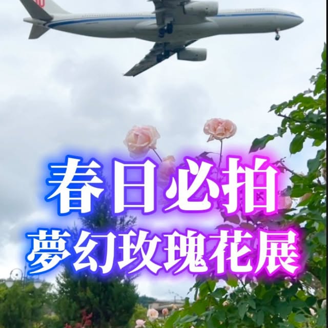Instagram-(新しいウィンドウを開きます)