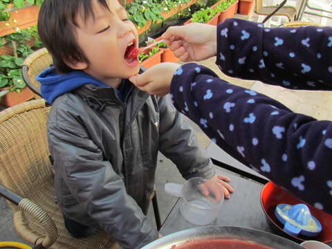 整座台北城 都是儿童游乐场─甜蜜飨食区