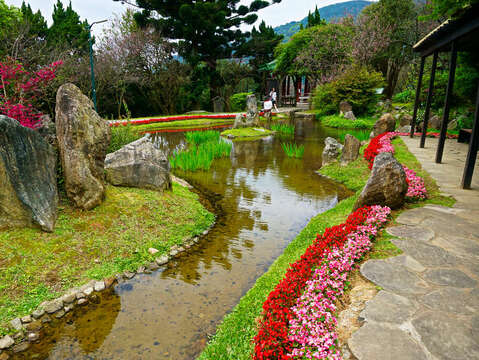 A Classic One-day Tour in Yangmingshan