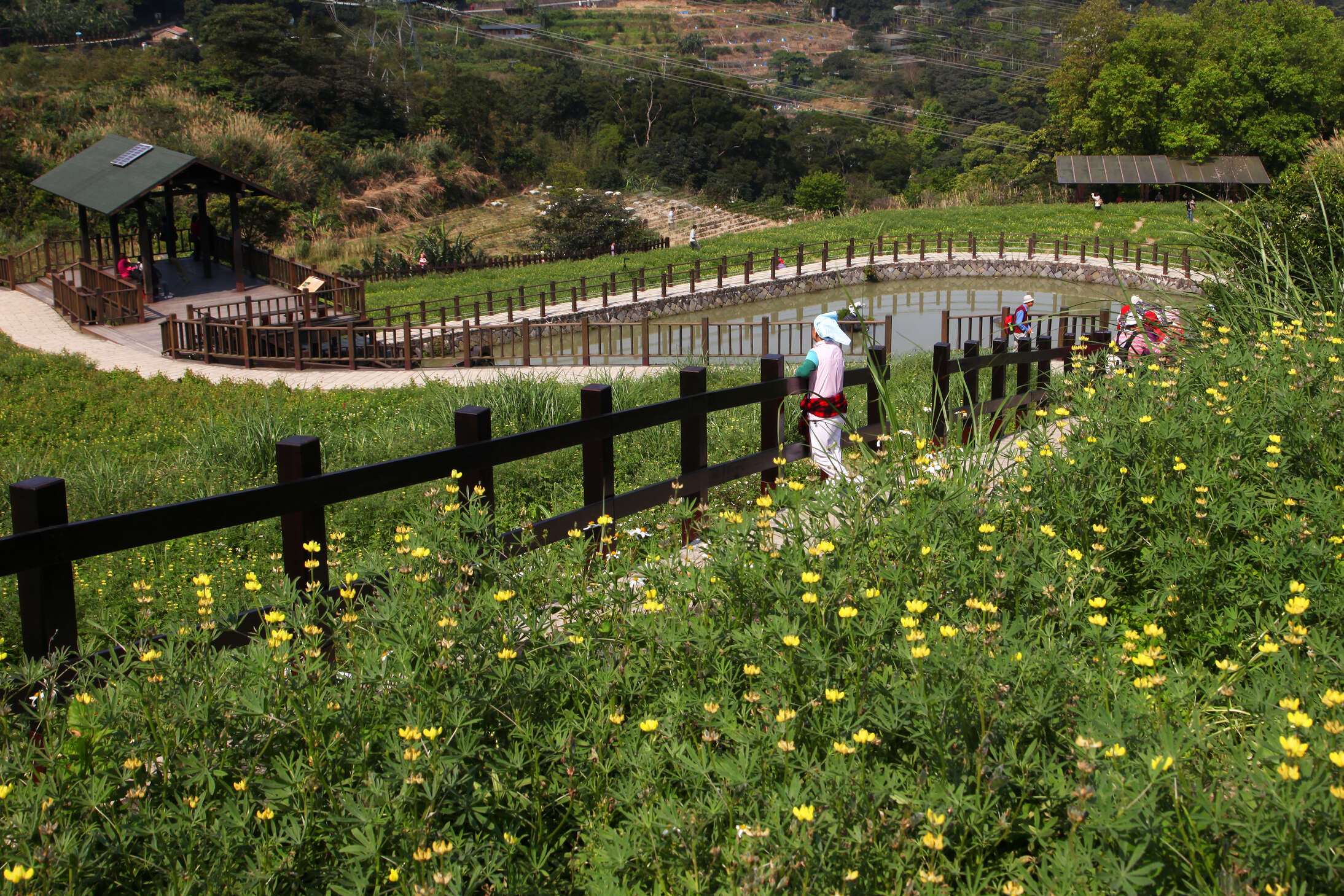 Maokong Zhangshu Trail