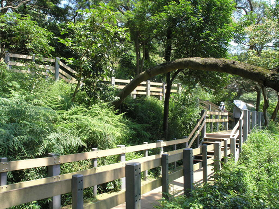 Hushan (Mt. Tiger) Hiking Trail
