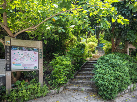 沁涼夏日水管路