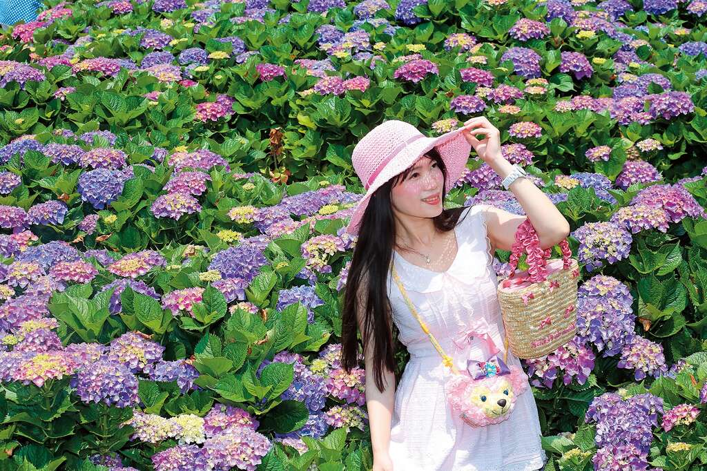 跟著愛情走