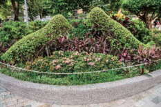 台北畫刊559期—我家門前有花園