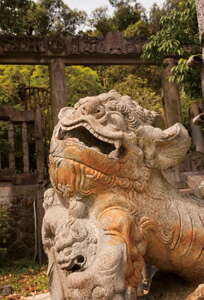 台北画刊556期—内湖悠游好时光 古道蝶园寻幽访胜
