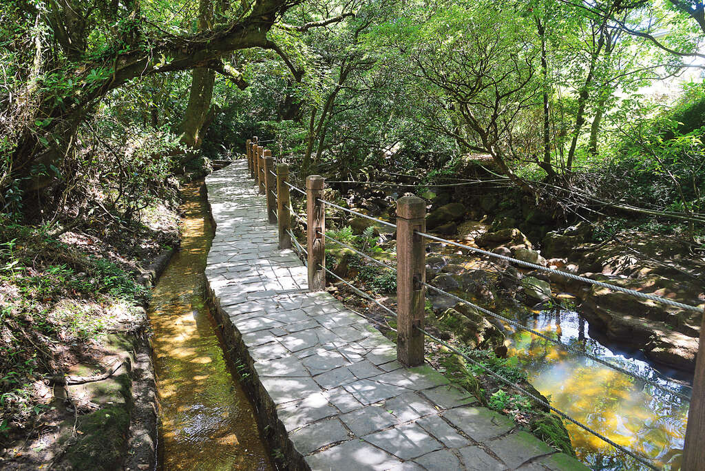 登高避暑的沁凉之径　台北亲山步道