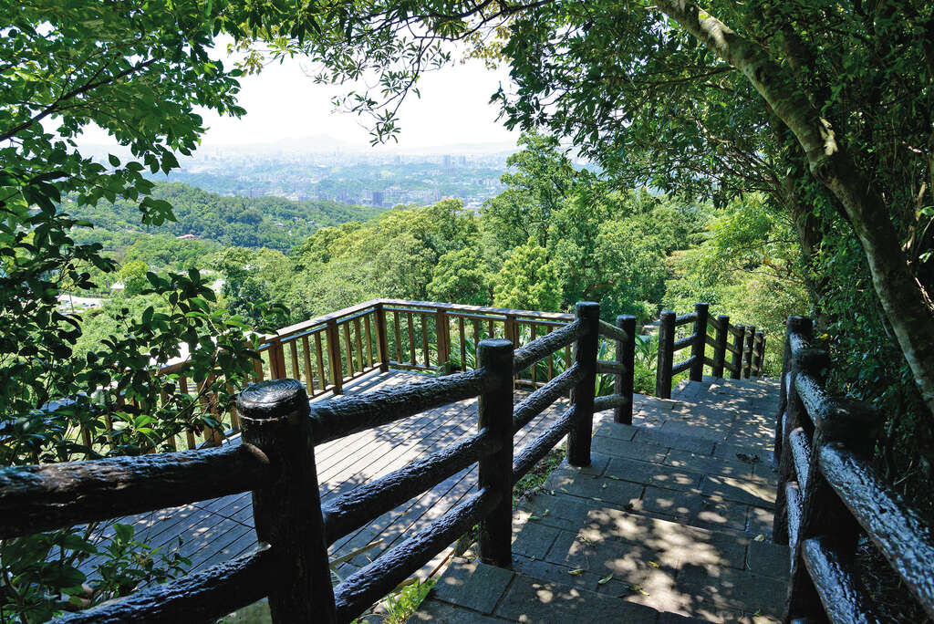 豫樟品茗烟岚起　【樟树樟湖步道】