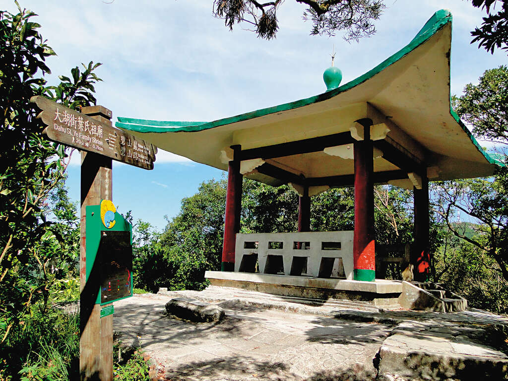 海拔高度达223公尺的鲤鱼山步道，相较於巨木林立的圆觉寺步道，更显与天齐高。（图／台北市大地工程处提供）