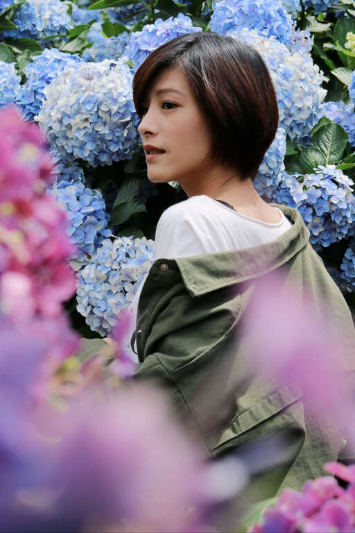 【美好X台北　台北花季】跟著海芋、繡球花上山追花