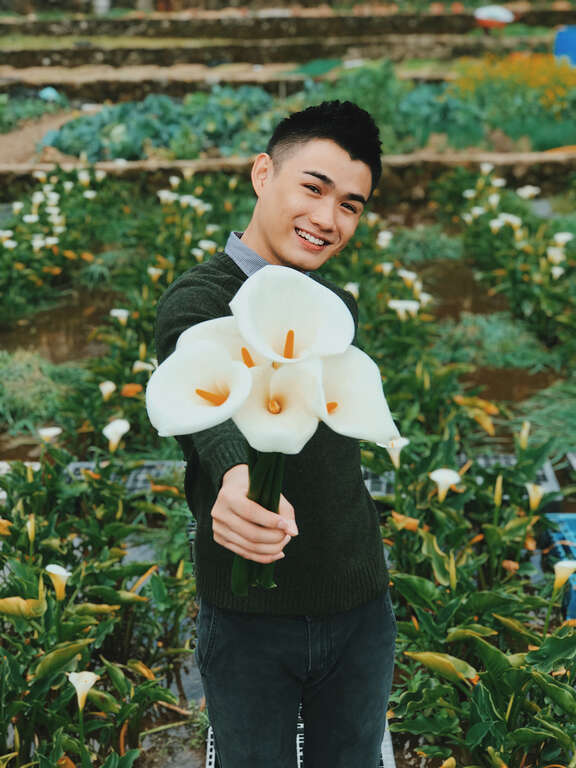 【美好X台北　台北花季】跟著海芋、繡球花上山追花