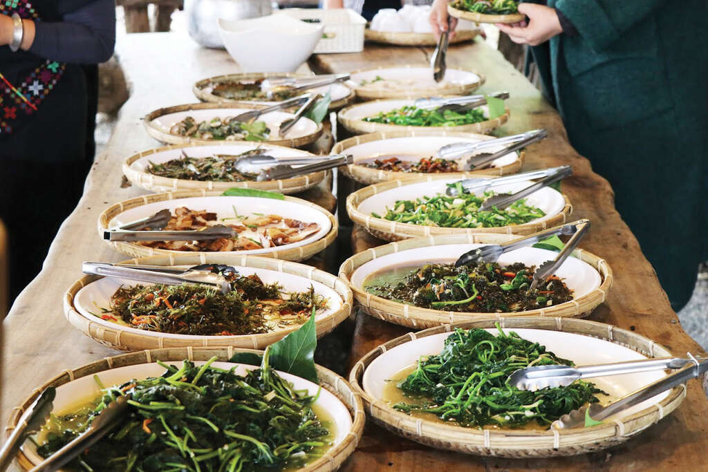 TAIPEI Spring 2019 Vol.15--Flower Viewing in Taipei: Three Routes Recommended for Couples, Friends, and Families