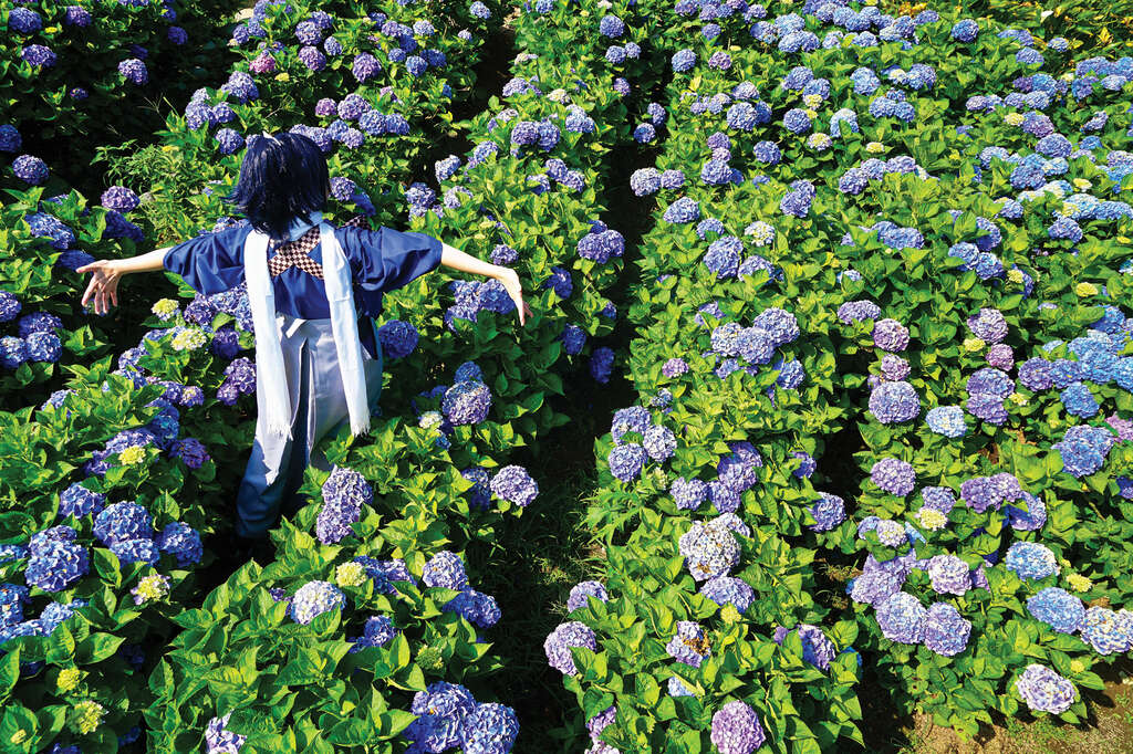 TAIPEI Spring 2019 Vol.15--Flower Viewing in Taipei: Three Routes Recommended for Couples, Friends, and Families