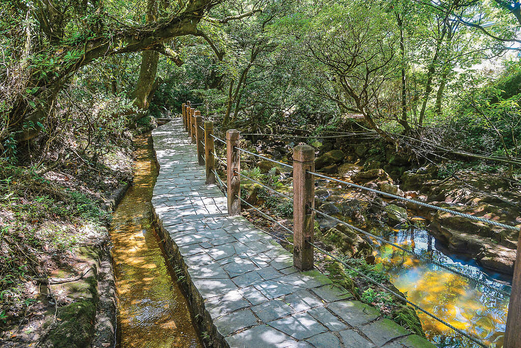TAIPEI 春季号 2019 Vol.15--彩りを楽しむ絶景花見ルート