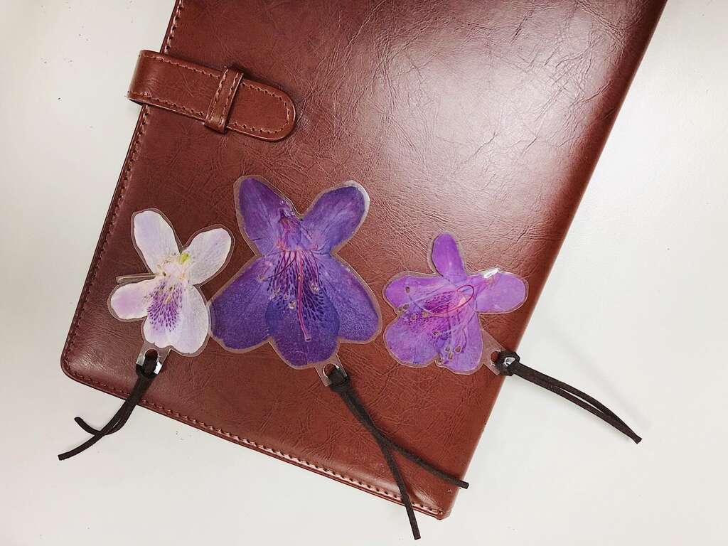 抽奖就有机会得到限量杜鹃花书签