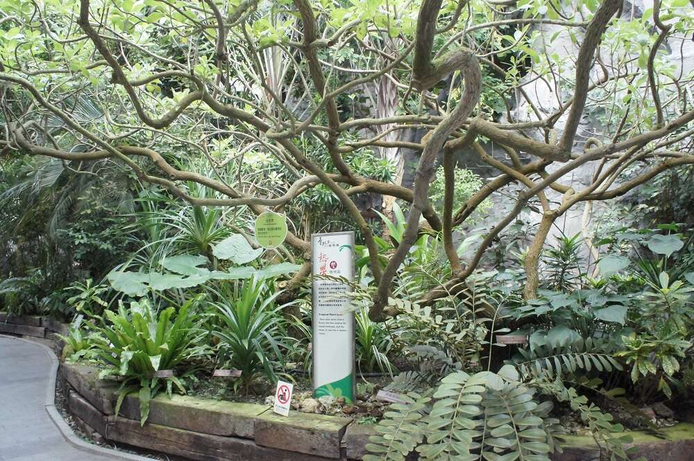 图／台北典藏植物园