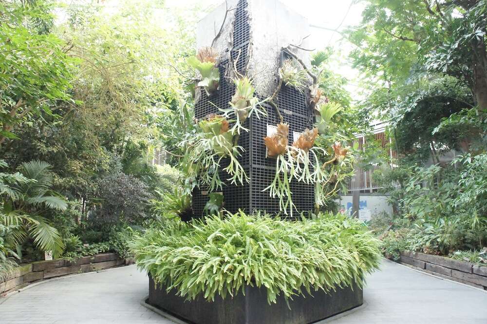圖／台北典藏植物園