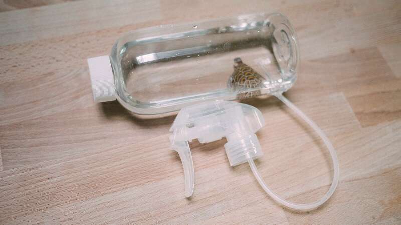 亲子消暑趣    DIY宝特瓶水枪
