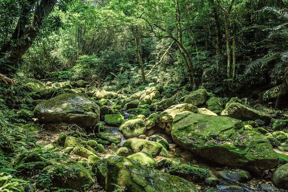 【清凉X台北　游走台北山水间】游走台北山水间    感受炎夏中的一抹清凉
