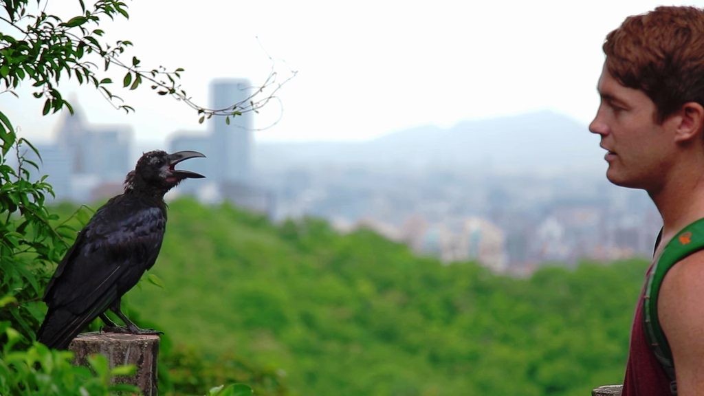 倘佯山林间除了可欣赏美景，还可以看到各式各样生态景观.JPG