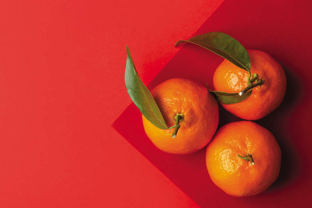 TAIPEI Winter 2019 Vol.18--Celebrating Lunar New Year in Taipei: A Guide to Proper Etiquette