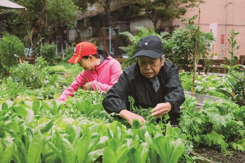 田园城市　串联人群与土地的可食地景(台北画刊109年1月)