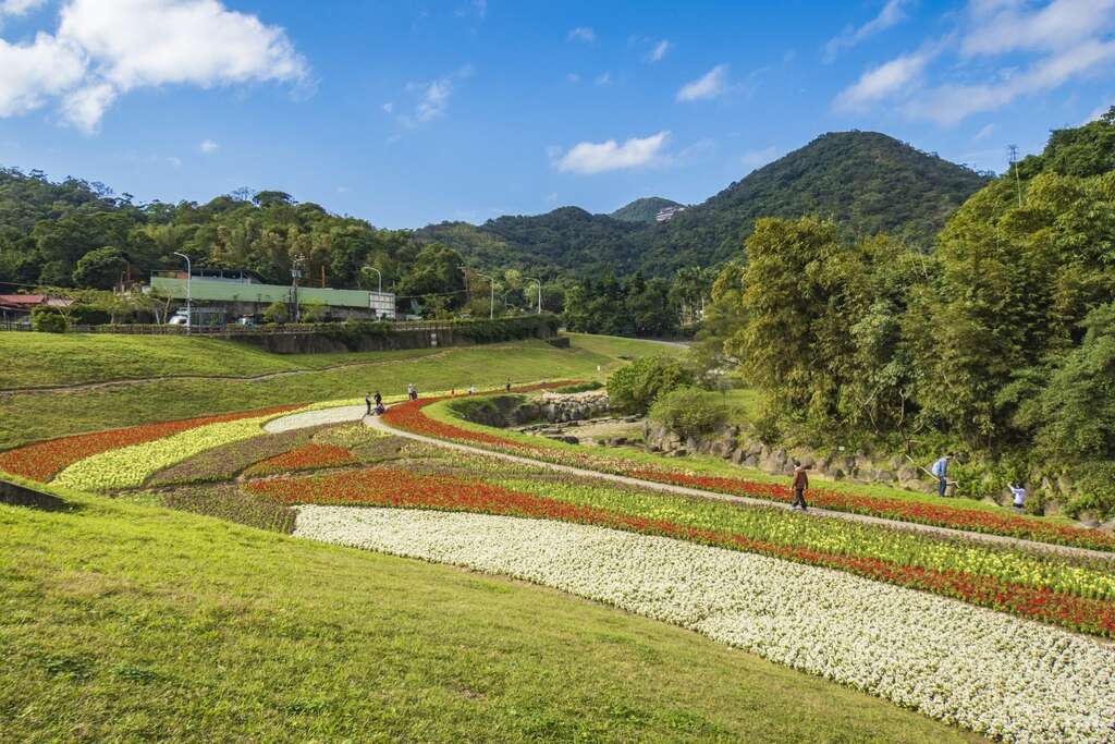 大溝溪花海平日、假日均吸引不少民眾來此野餐、踏青