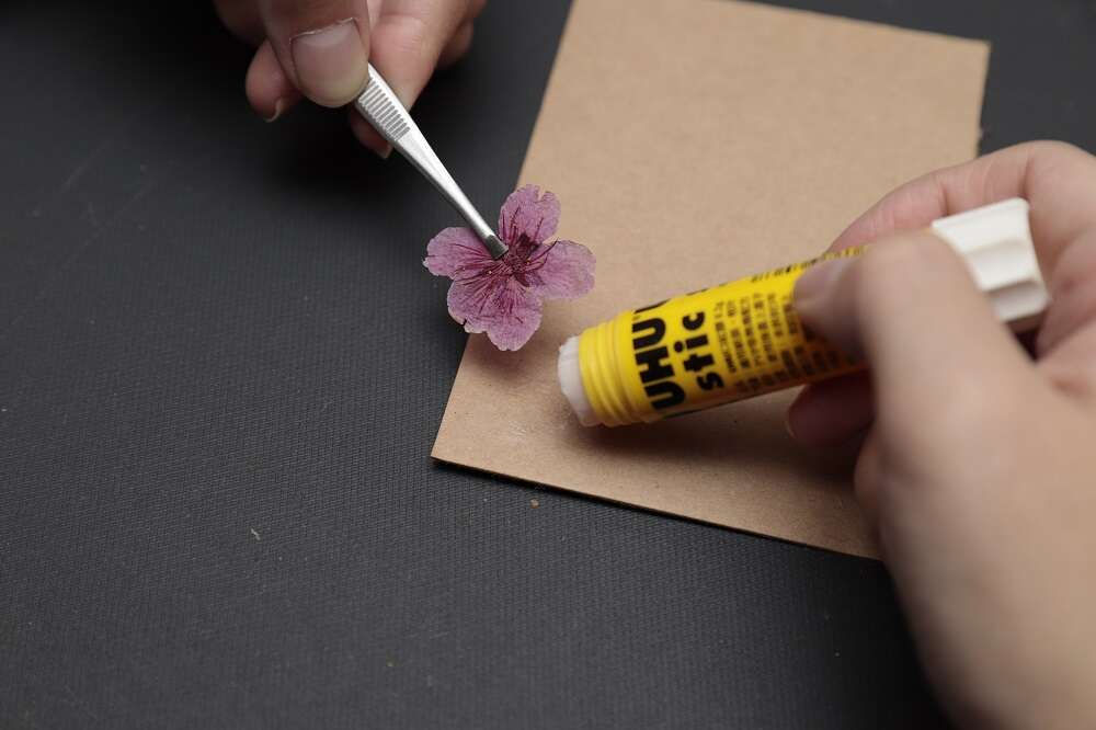 熨斗压花教学 制作独一无二的花朵藏品【粉嫩X台北 漫天飞舞的花季】(台北画刊109年2月)