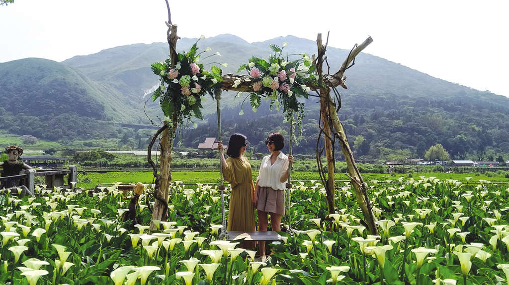 TAIPEI Spring 2020 Vol.19--Spring into Action: Five Diversified Tours to Explore Taipei