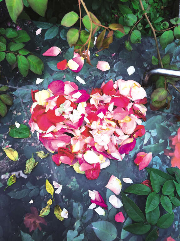 TAIPEI Spring 2020 Vol.19--Blossoming Flowers: The Must-See Taipei Flower Festivals