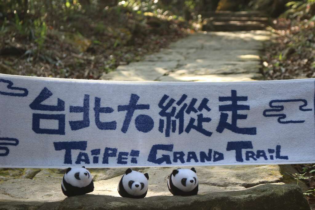 春天來的悄無聲息，不知不覺中，山林裡早已百花齊放，讓我們一起來去大縱走賞花看樹吧!