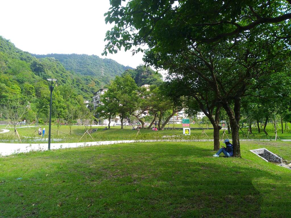 永春陂湿地公园一隅