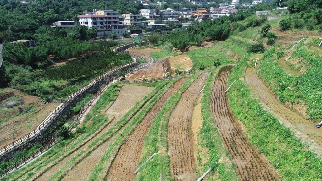 由高处俯瞰梯田美景